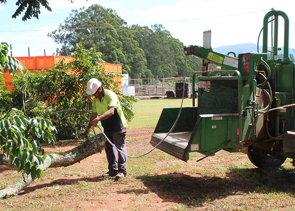 mulching & chipping